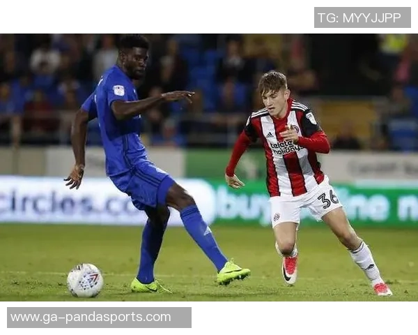 2019年米尔沃尔对阵谢周三精彩回顾与赛后分析